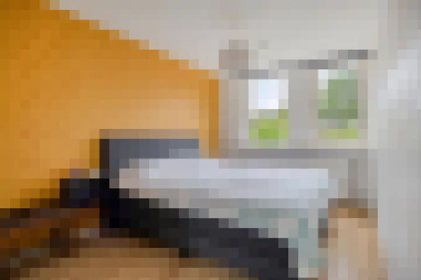 Bottemaheerd 3 Groningen thumbnail 8