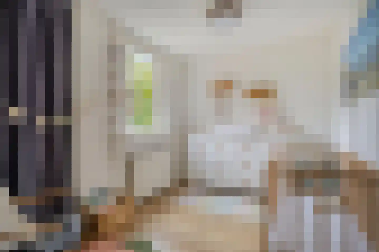 Bottemaheerd 3 Groningen thumbnail 9