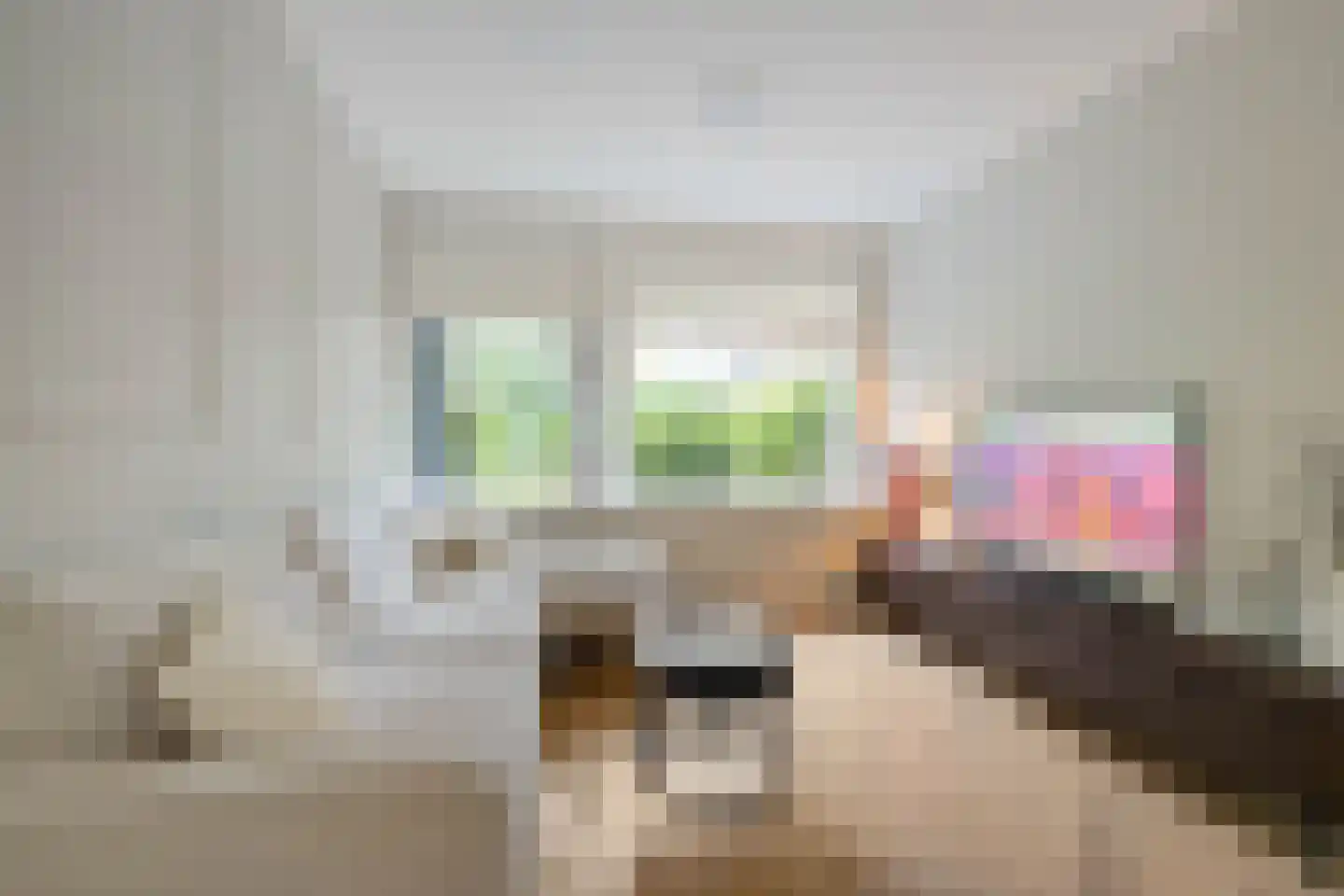Bottemaheerd 35 Groningen thumbnail 13