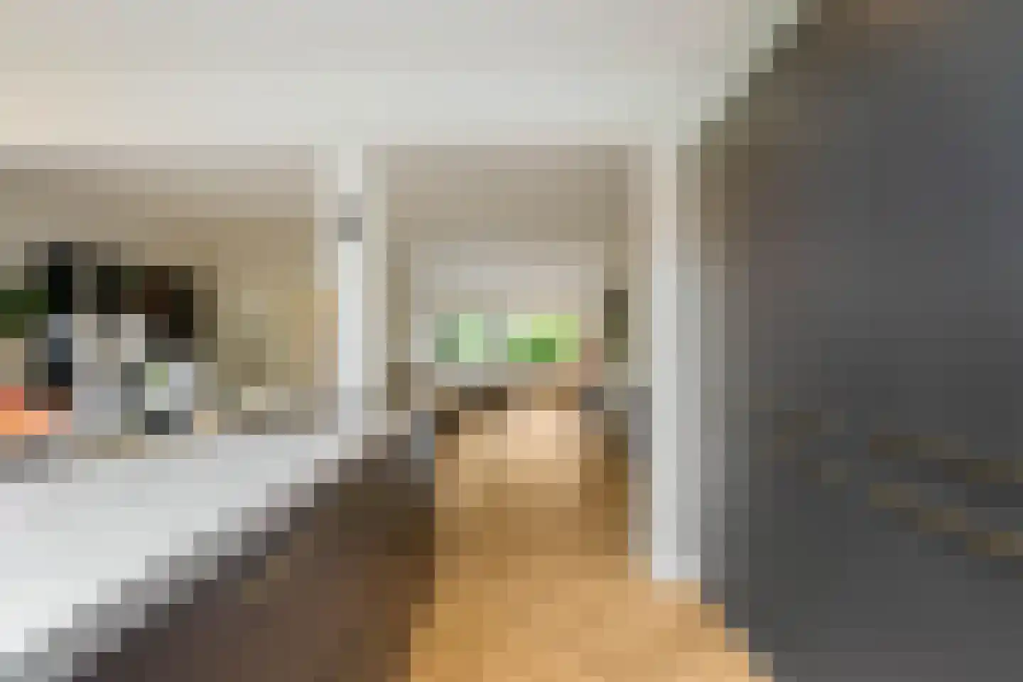 Bottemaheerd 35 Groningen thumbnail 20