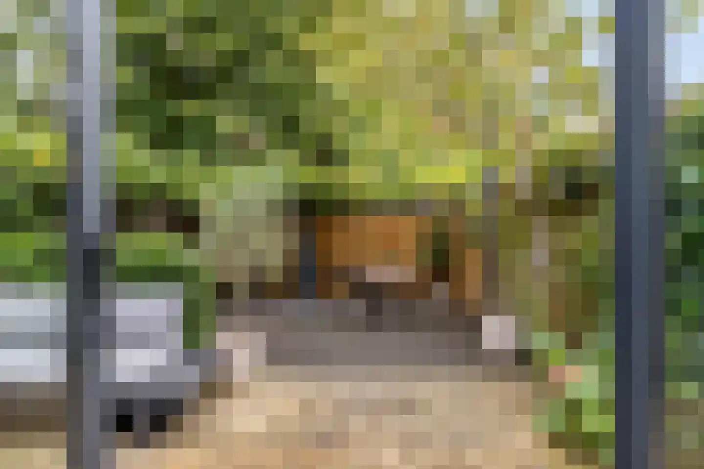 Bottemaheerd 35 Groningen thumbnail 21