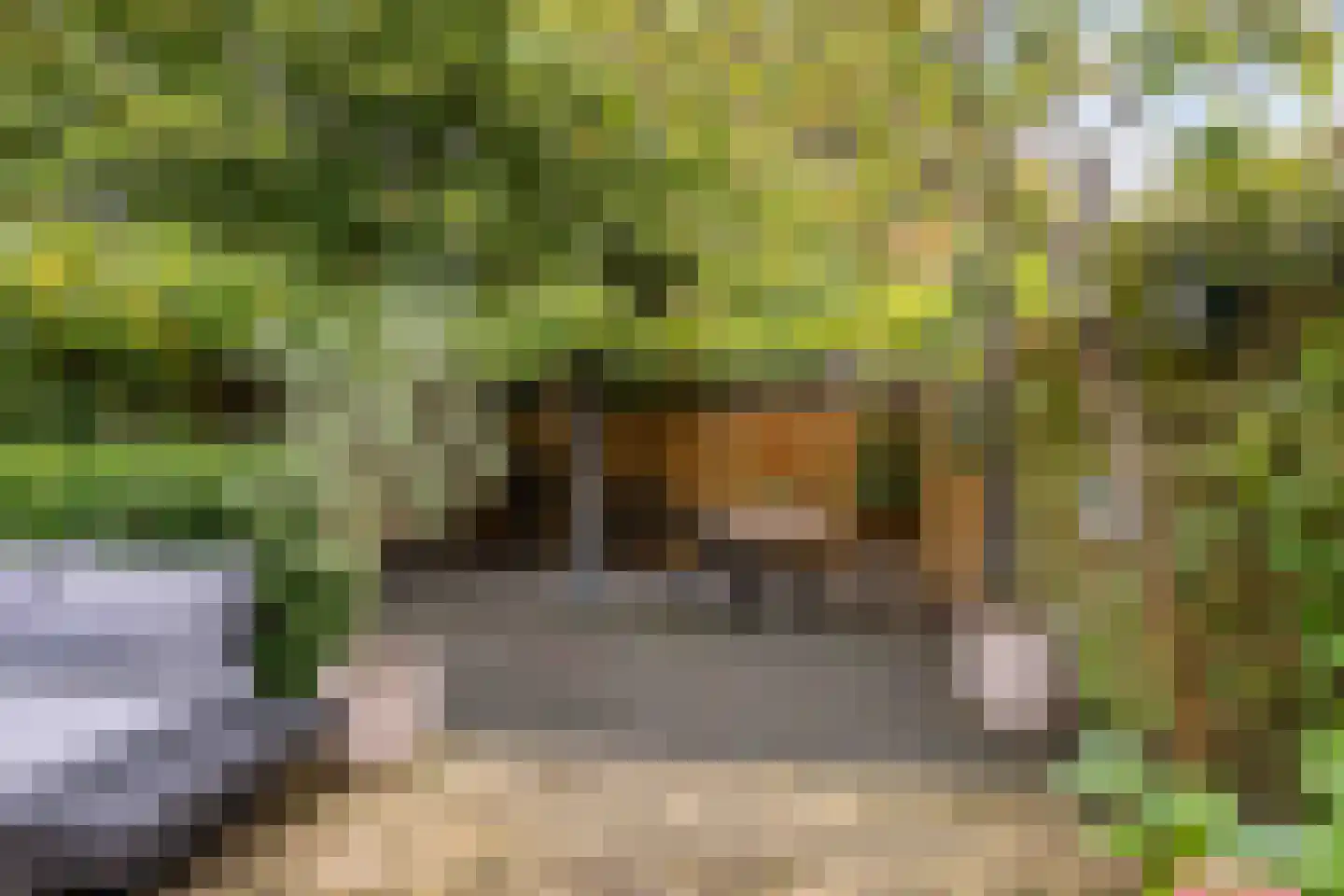 Bottemaheerd 35 Groningen thumbnail 22