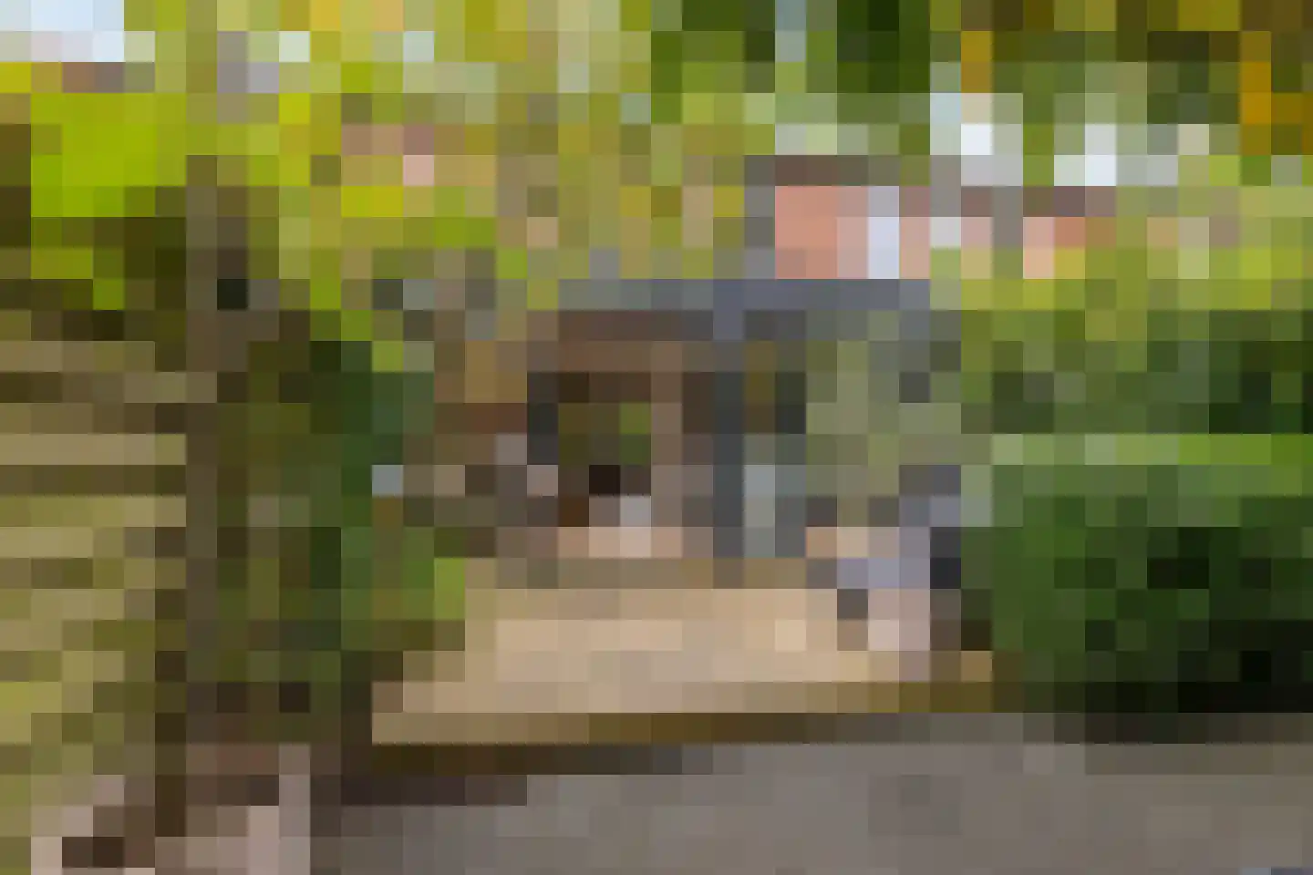 Bottemaheerd 35 Groningen thumbnail 24