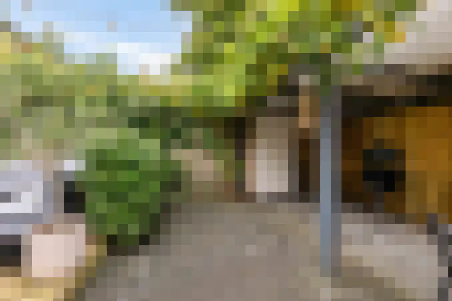 Bottemaheerd 35 Groningen thumbnail 25