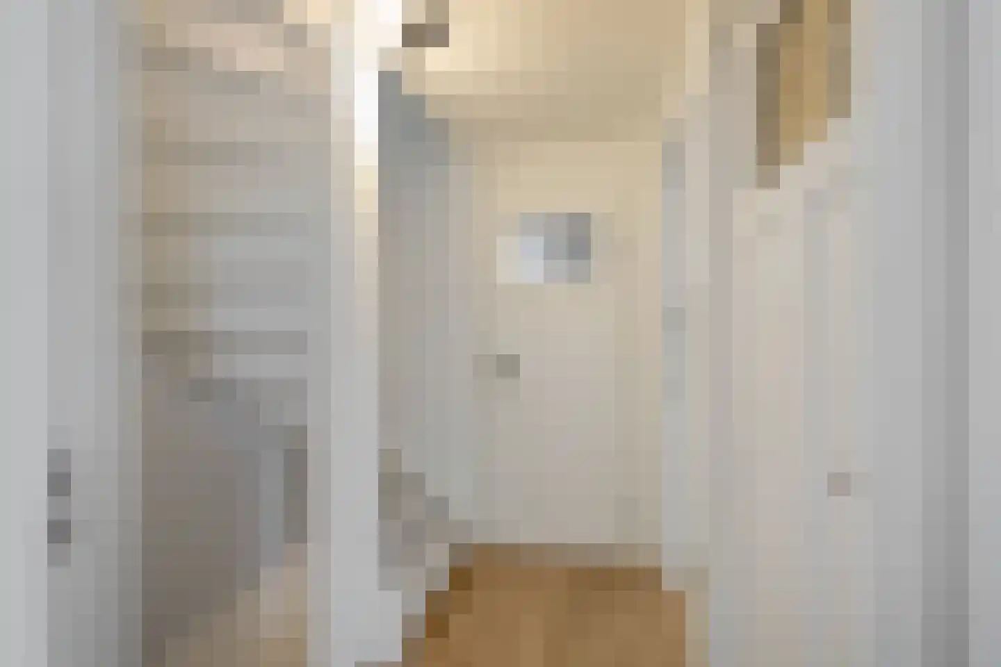 Bottemaheerd 35 Groningen thumbnail 27