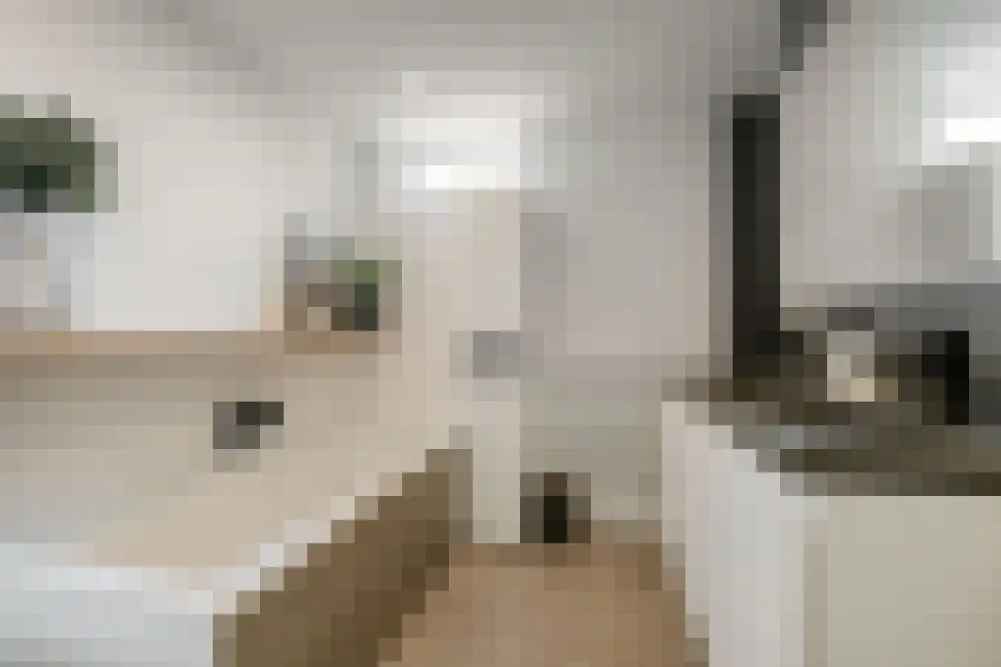 Bottemaheerd 35 Groningen thumbnail 35