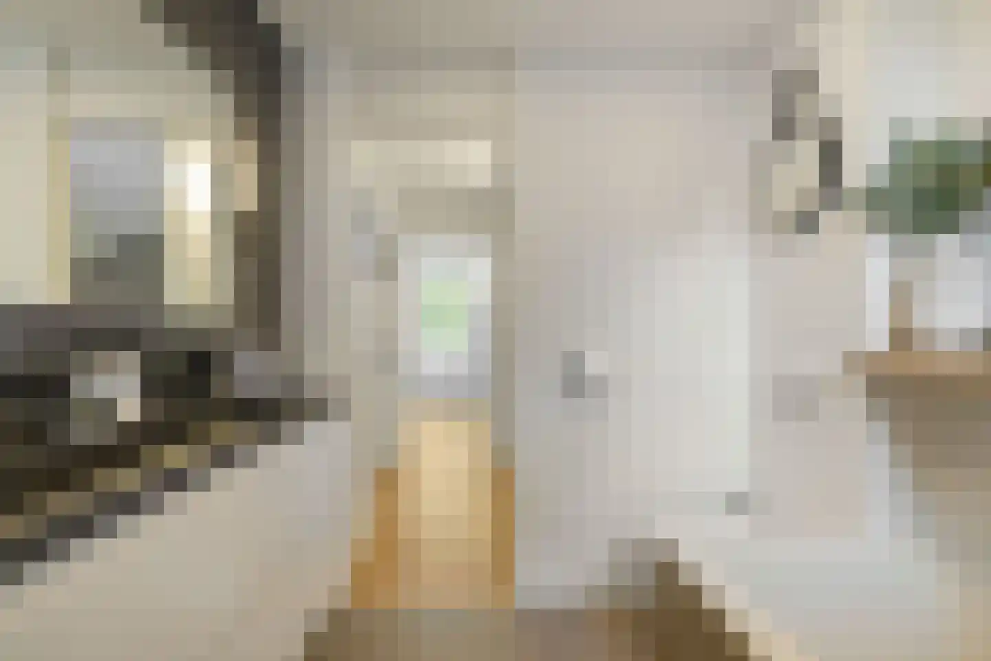 Bottemaheerd 35 Groningen thumbnail 36