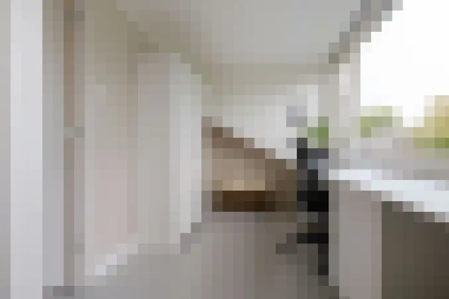 Bottemaheerd 35 Groningen thumbnail 40