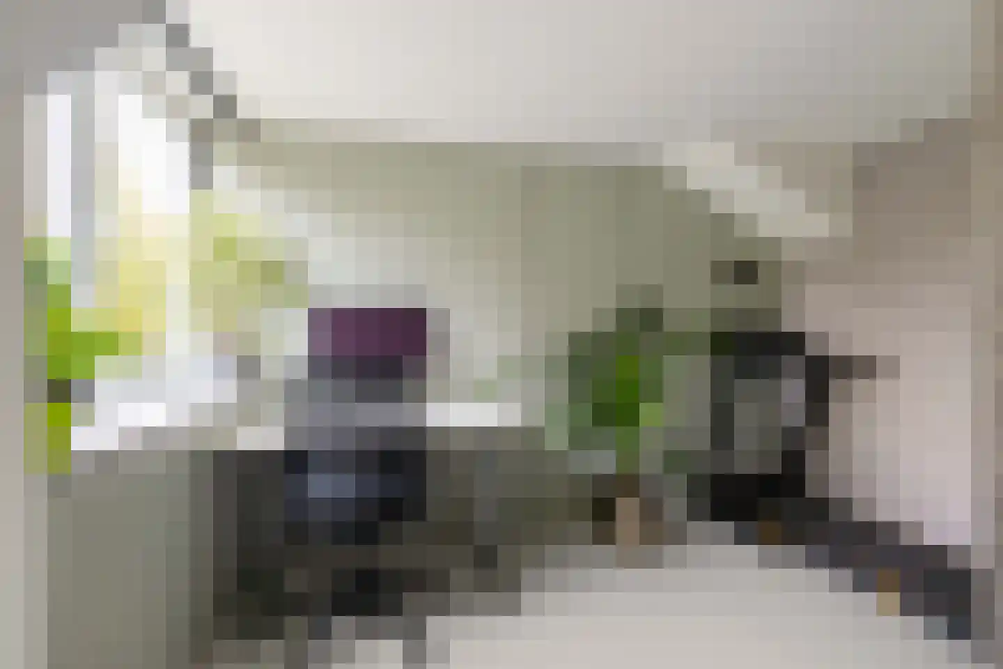 Bottemaheerd 35 Groningen thumbnail 42