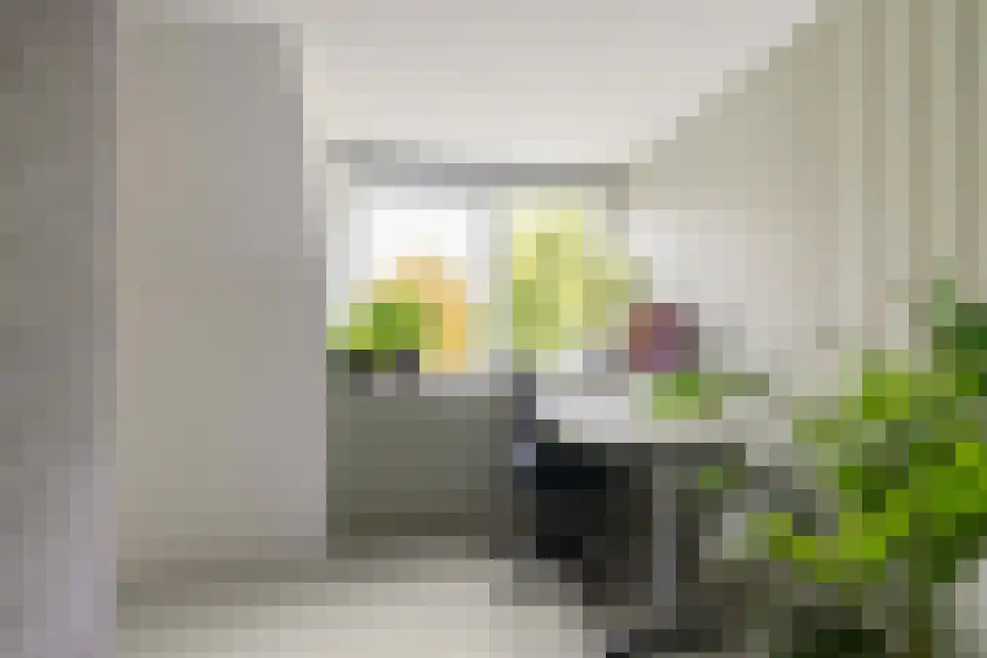 Bottemaheerd 35 Groningen thumbnail 43