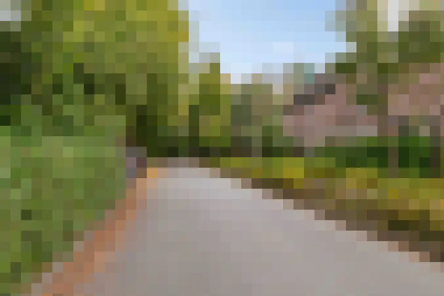 Bottemaheerd 35 Groningen thumbnail 5