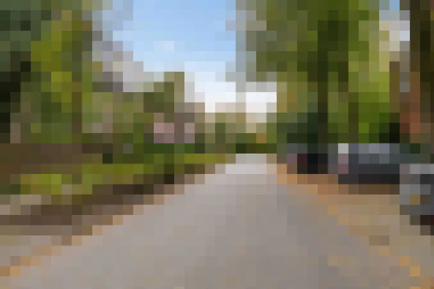 Bottemaheerd 35 Groningen thumbnail 6