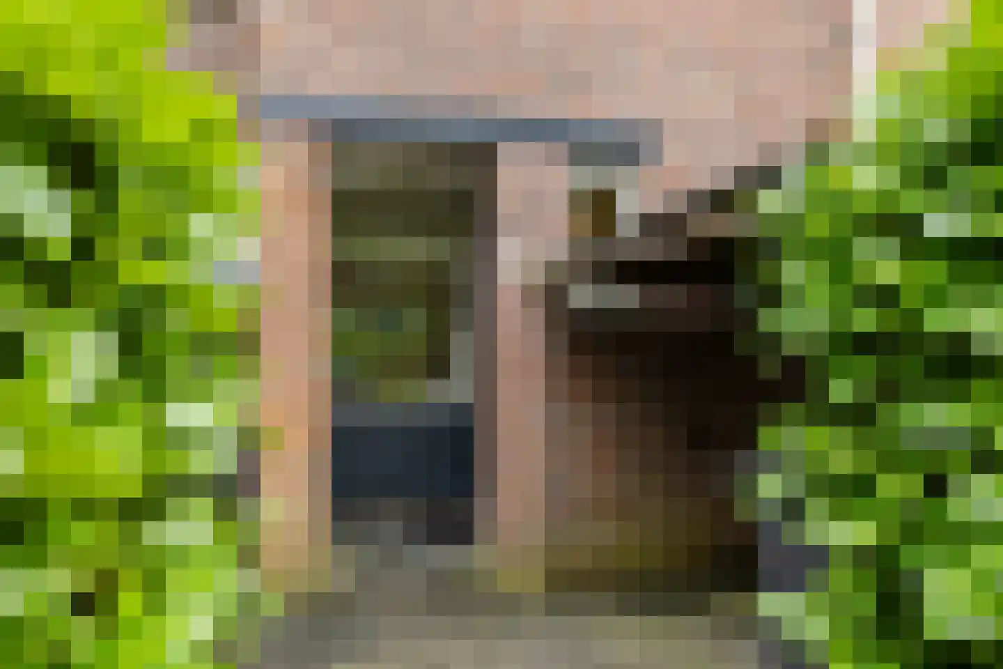 Bottemaheerd 35 Groningen thumbnail 7