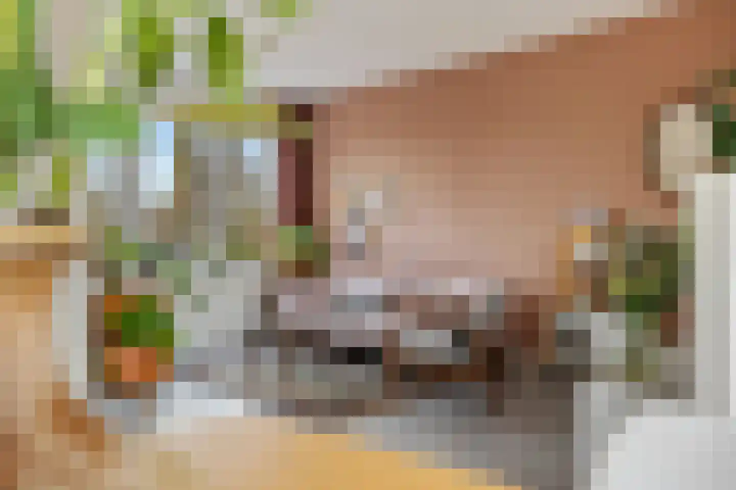 Bottemaheerd 75 Groningen thumbnail 12