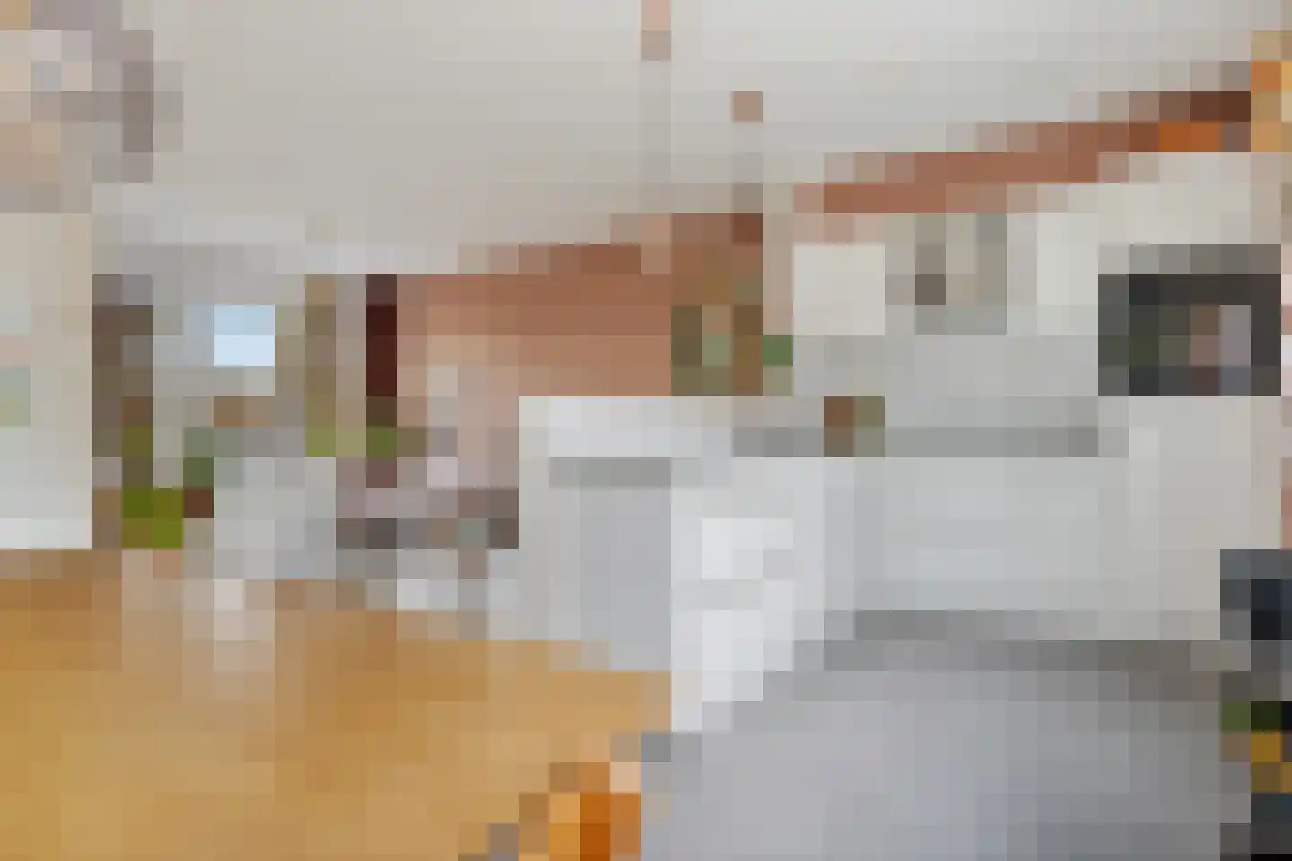 Bottemaheerd 75 Groningen thumbnail 13