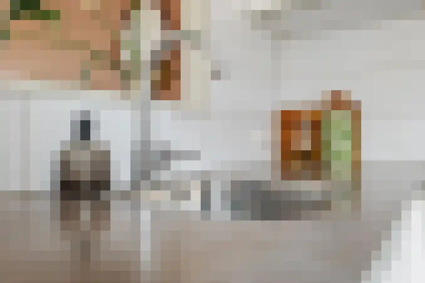 Bottemaheerd 75 Groningen thumbnail 14