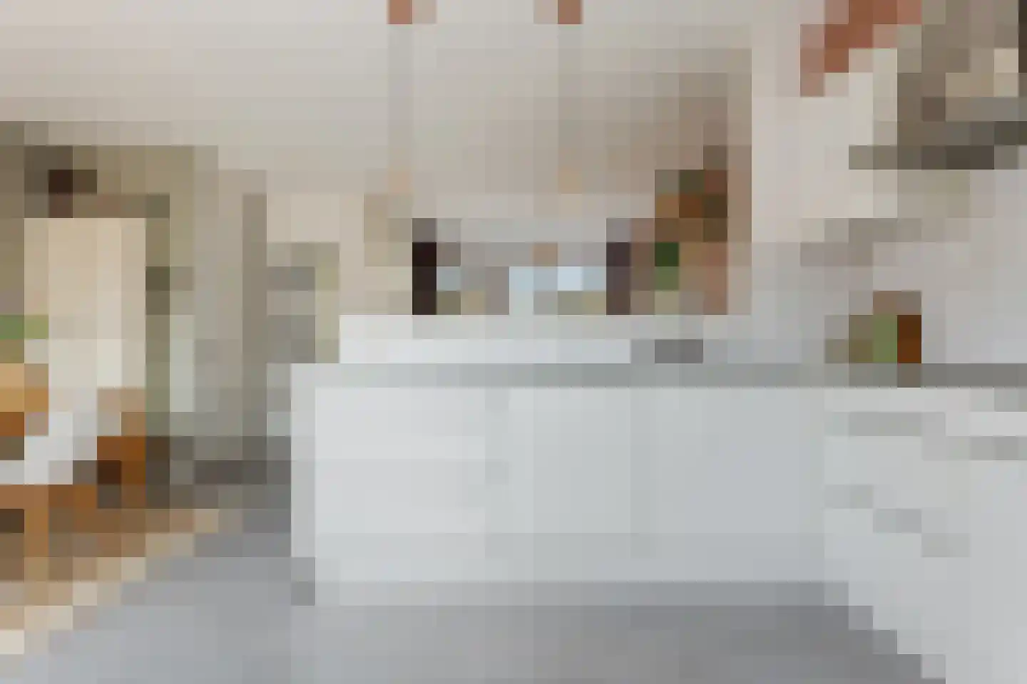 Bottemaheerd 75 Groningen thumbnail 15