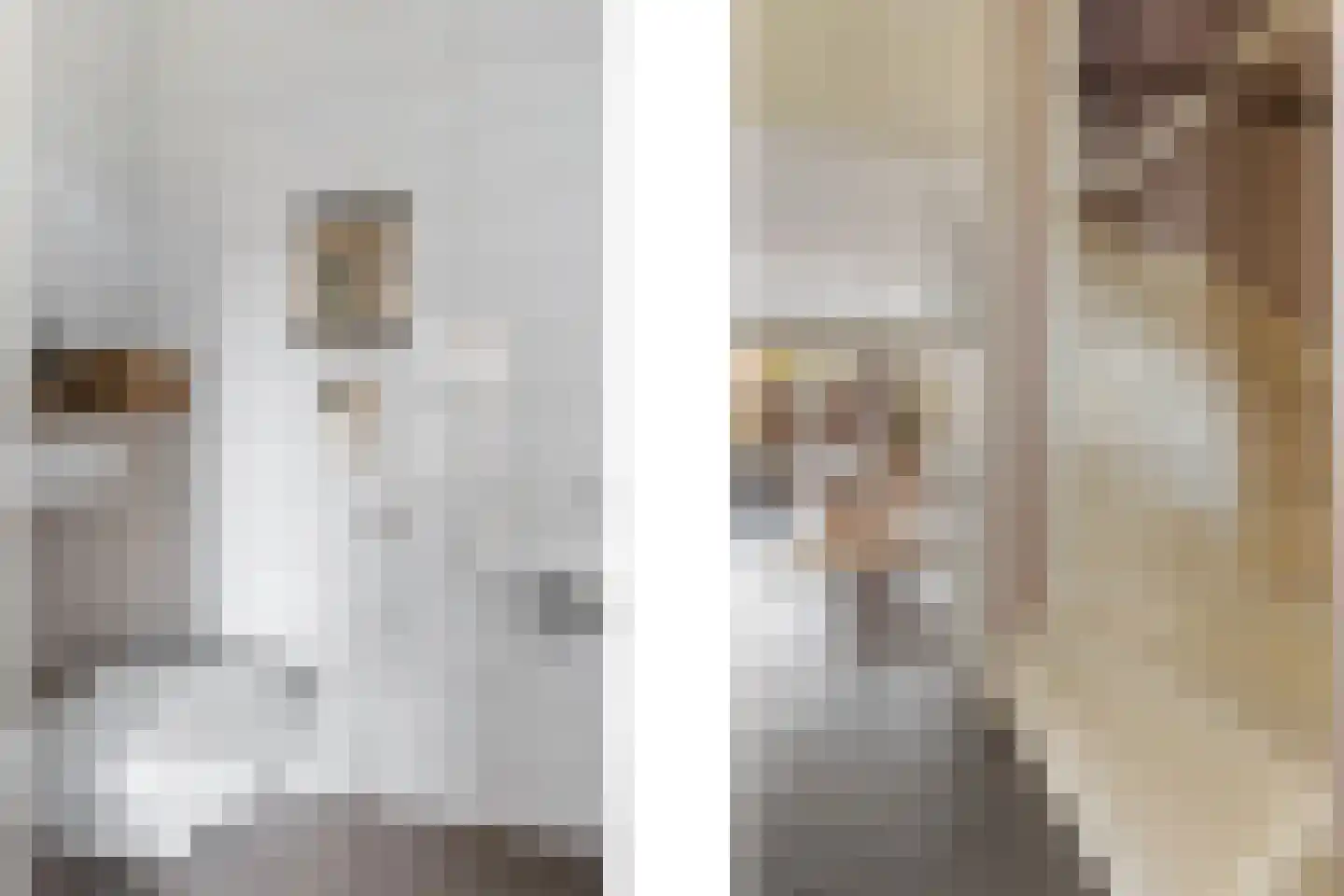 Bottemaheerd 75 Groningen thumbnail 18