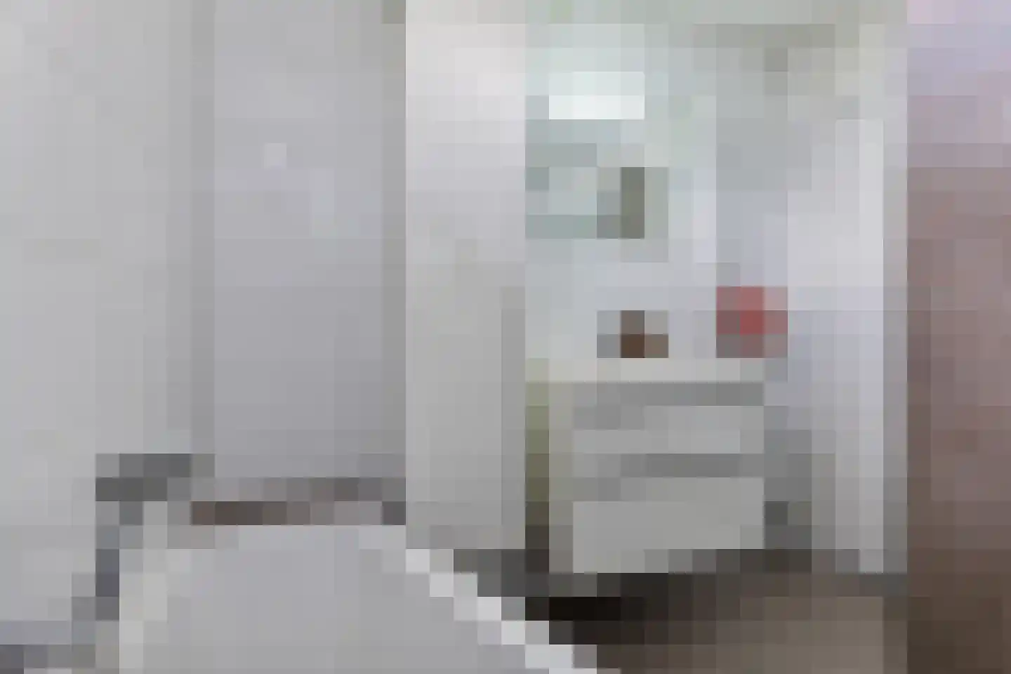 Bottemaheerd 75 Groningen thumbnail 22