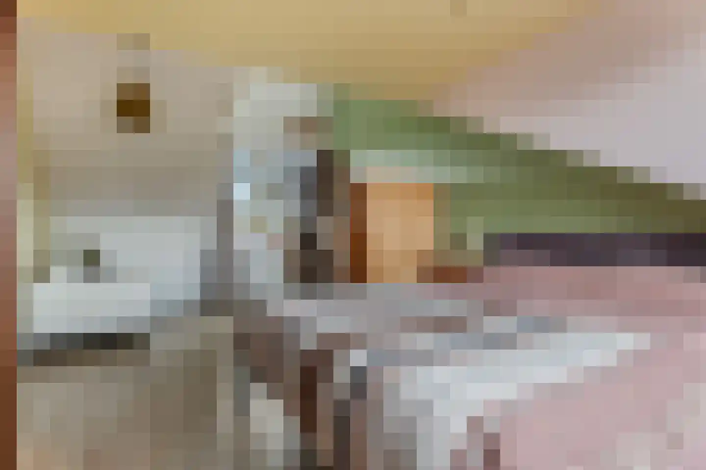 Bottemaheerd 75 Groningen thumbnail 30