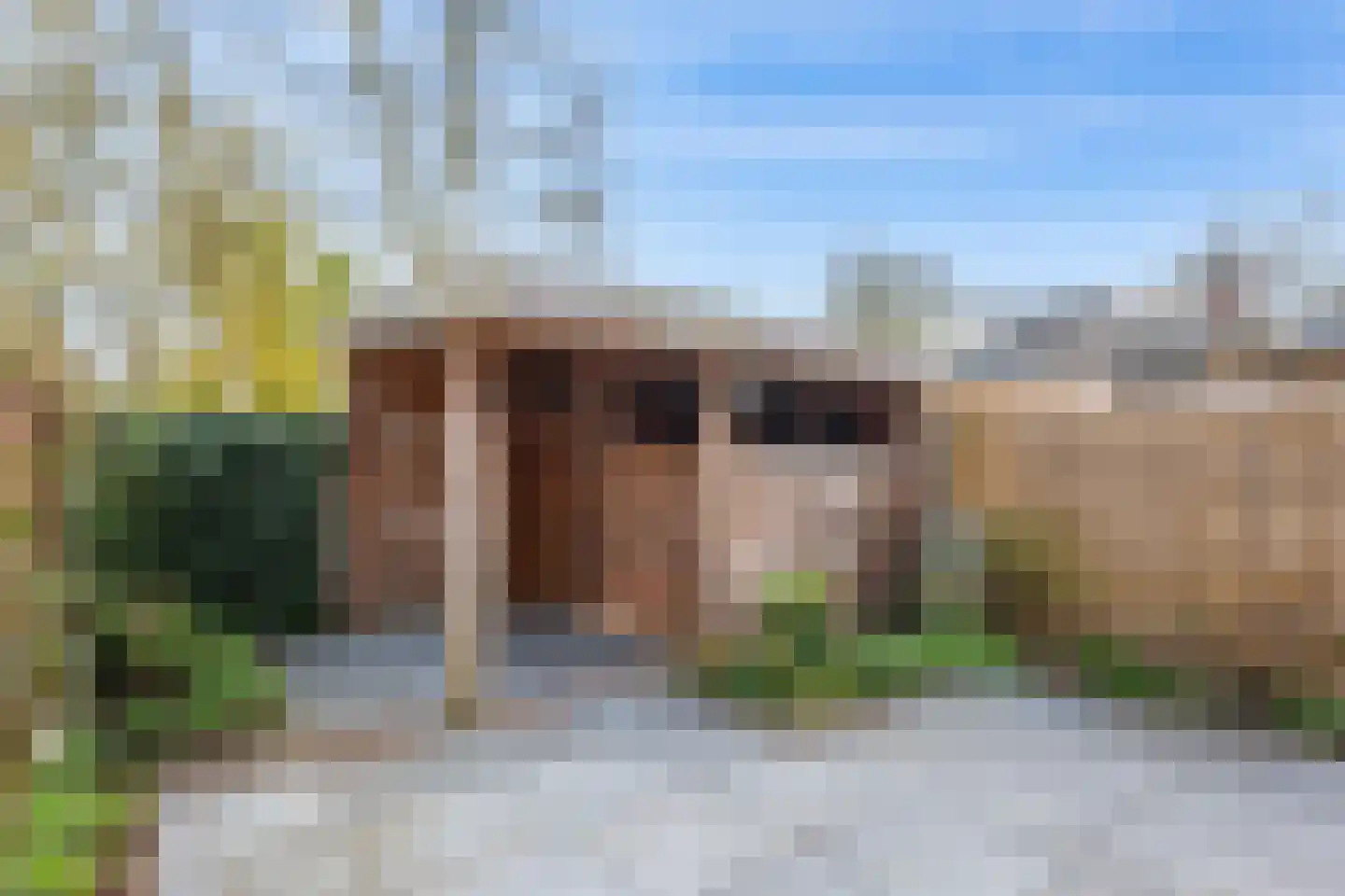 Bottemaheerd 75 Groningen thumbnail 34