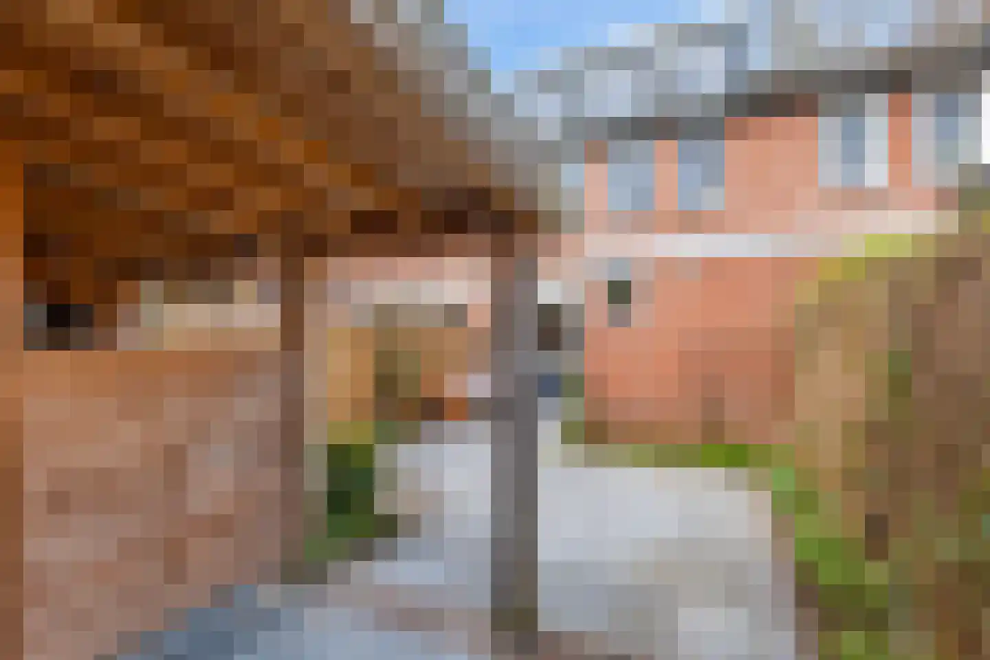 Bottemaheerd 75 Groningen thumbnail 35