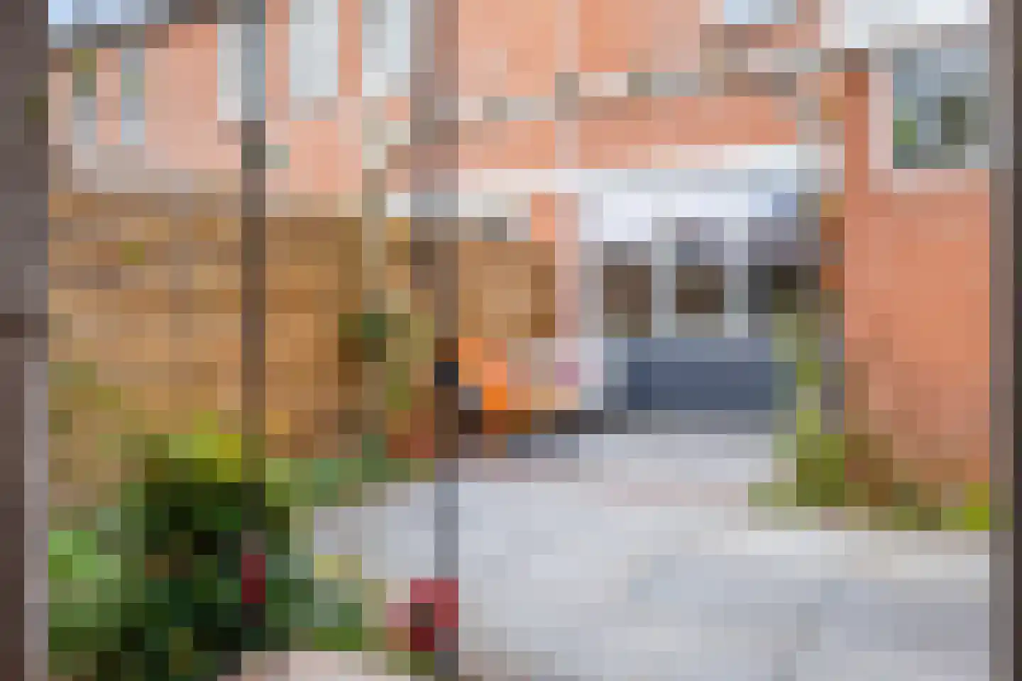Bottemaheerd 75 Groningen thumbnail 36