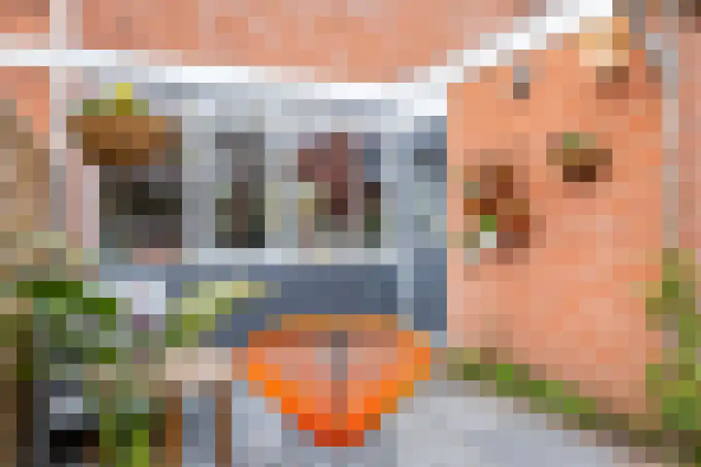 Bottemaheerd 75 Groningen thumbnail 37