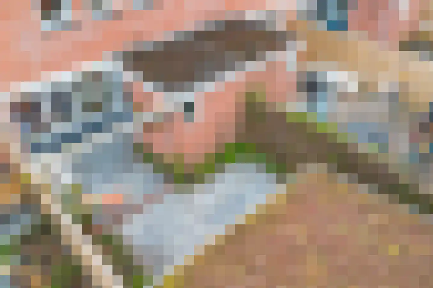 Bottemaheerd 75 Groningen thumbnail 38