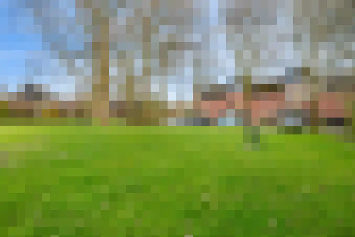 Bottemaheerd 75 Groningen thumbnail 42