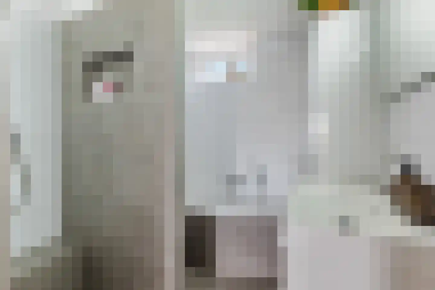 Bottemaheerd 75 Groningen thumbnail 5