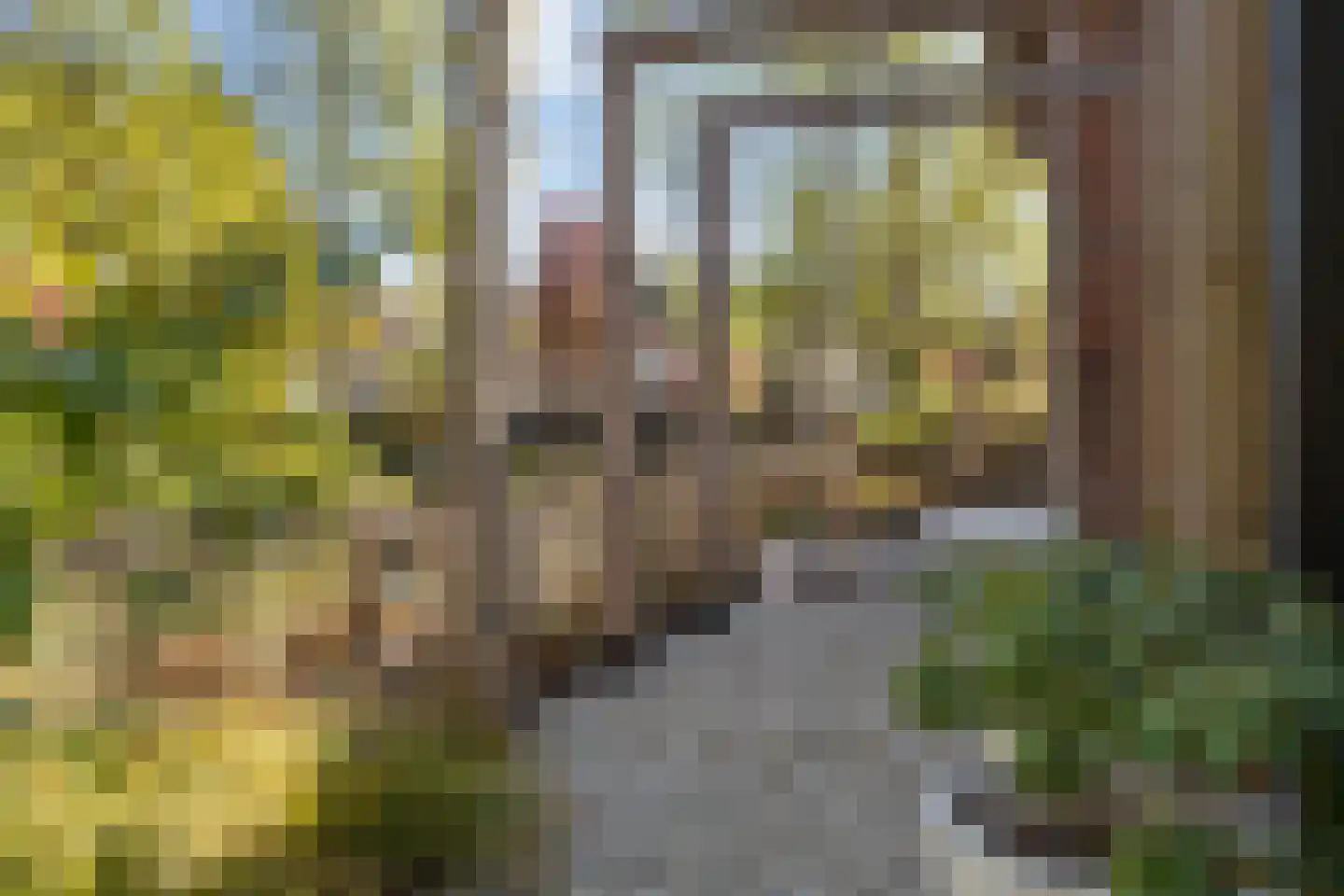 Bottensteinweg 1 Vleuten thumbnail 36