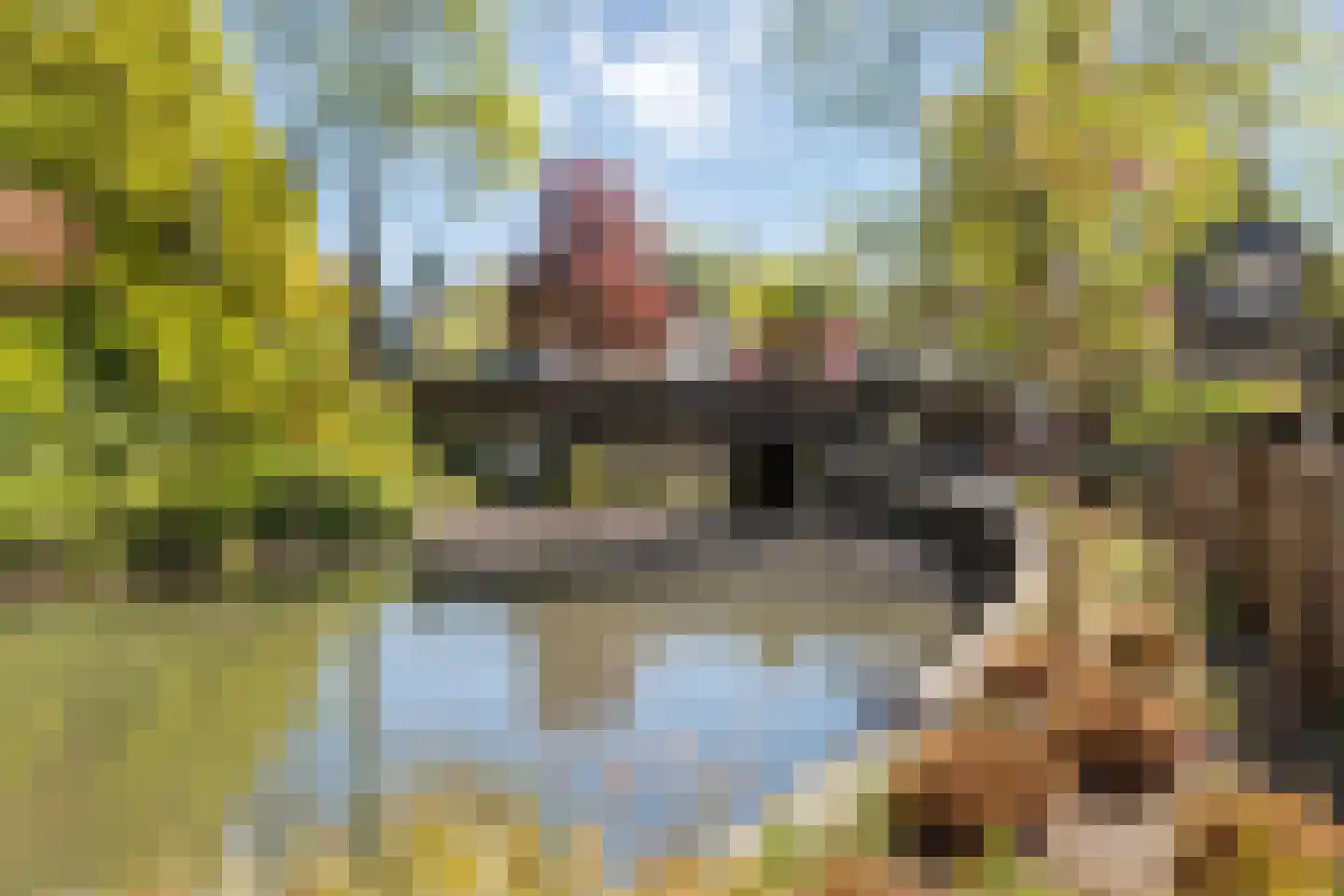Bottensteinweg 1 Vleuten thumbnail 37