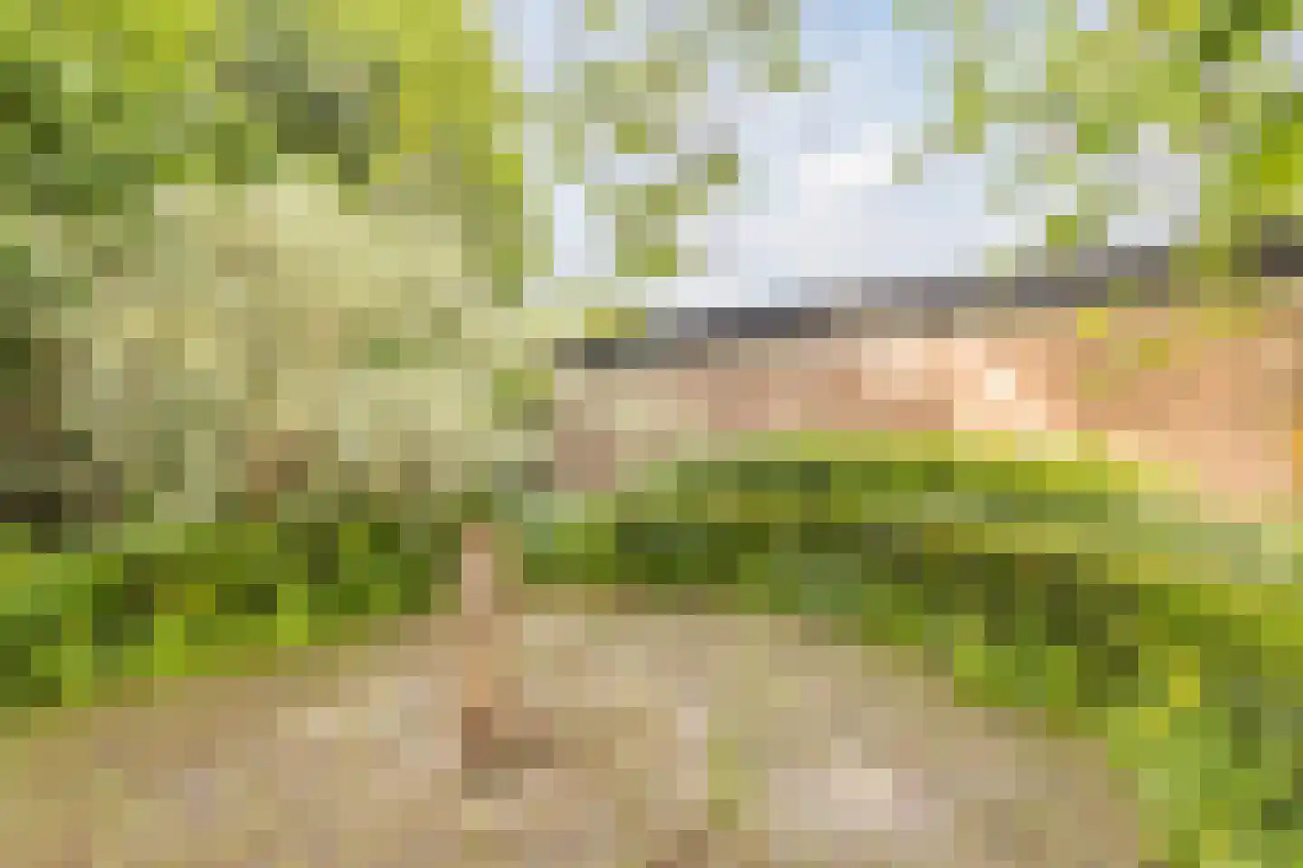 Bottensteinweg 6 Vleuten thumbnail 24
