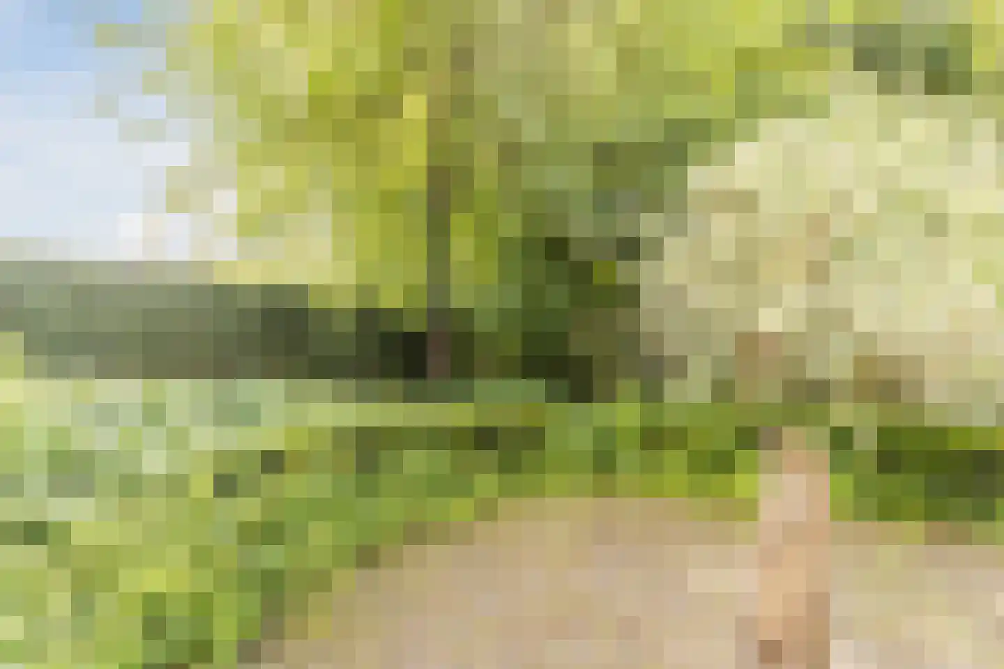 Bottensteinweg 6 Vleuten thumbnail 25