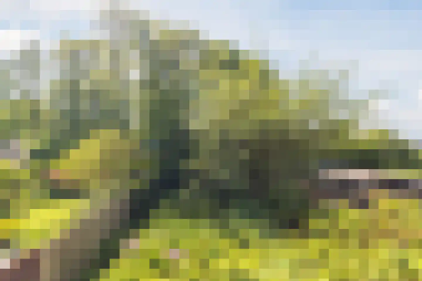 Bottensteinweg 6 Vleuten thumbnail 42