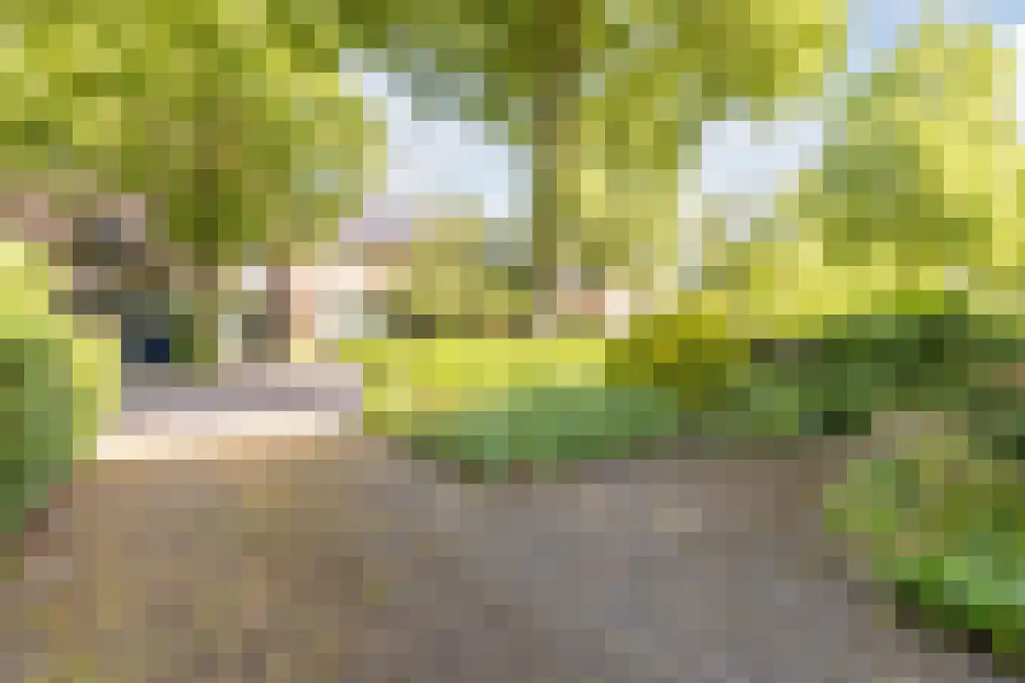 Bottensteinweg 6 Vleuten thumbnail 63