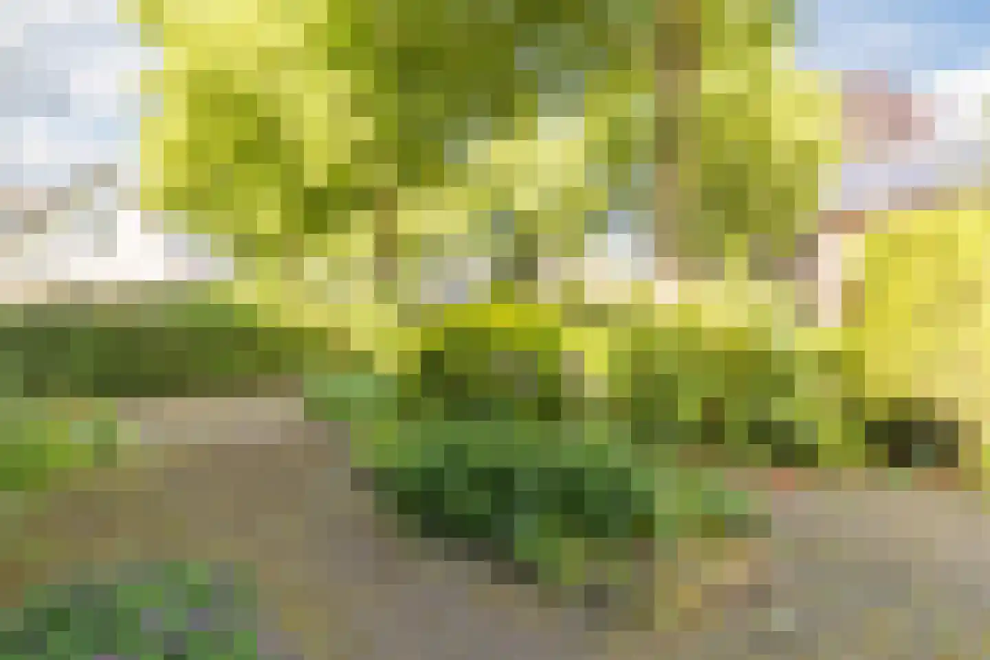 Bottensteinweg 6 Vleuten thumbnail 64