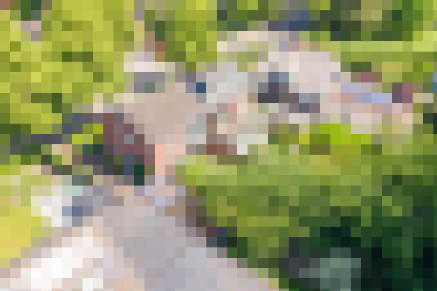 Bottensteinweg 6 Vleuten thumbnail 68