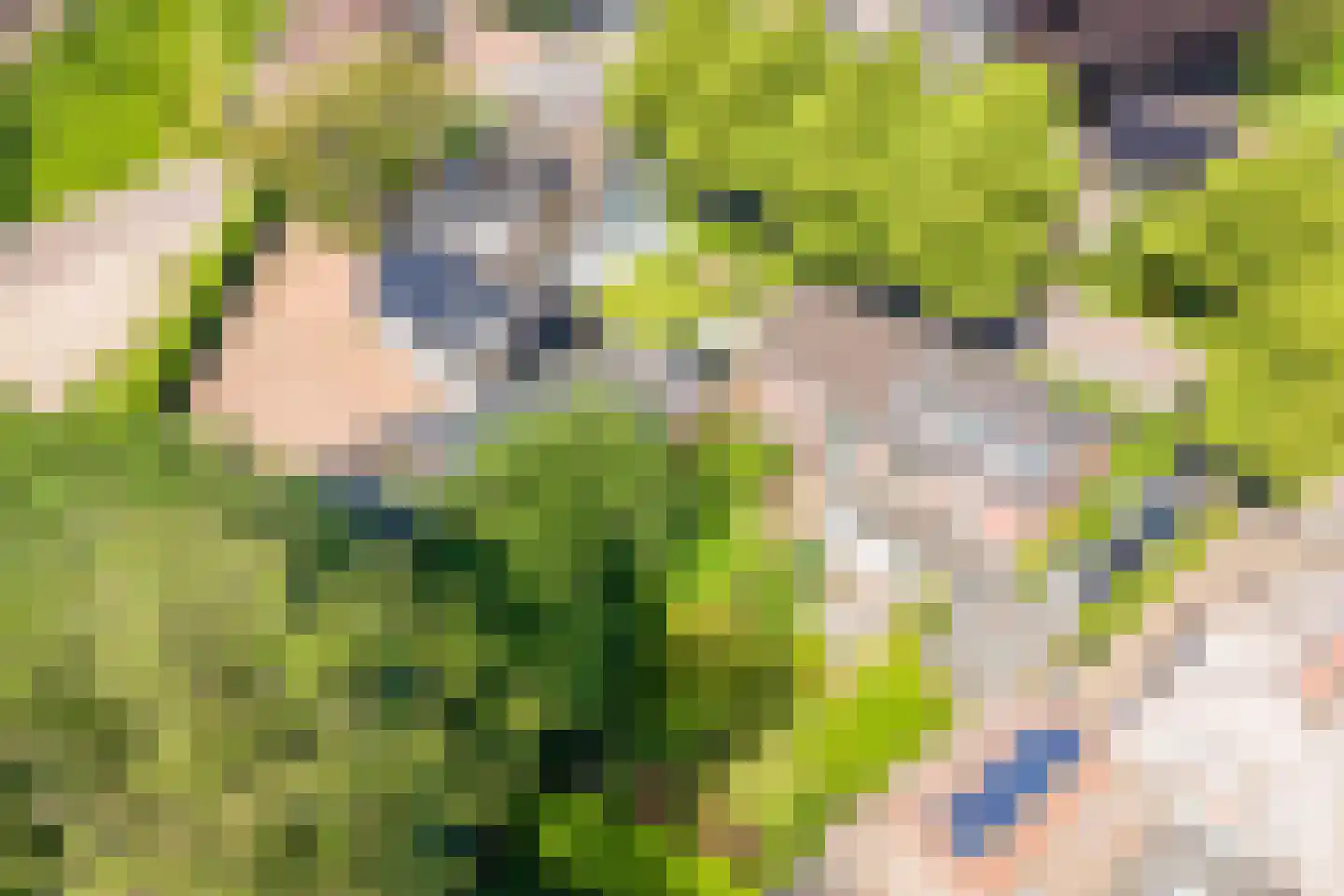 Bottensteinweg 6 Vleuten thumbnail 70