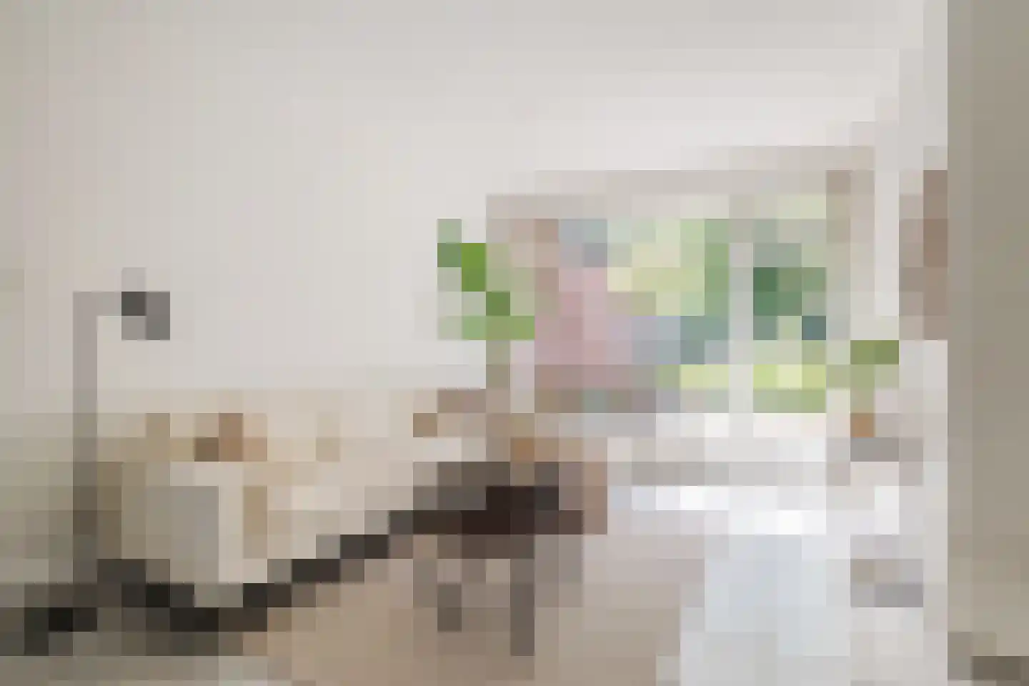 Bottensteinweg 6 Vleuten thumbnail 8