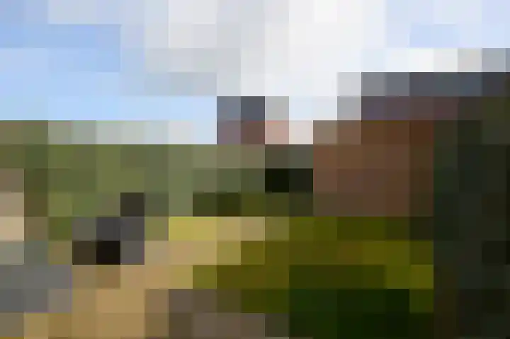 Botter 10 Terneuzen thumbnail 11