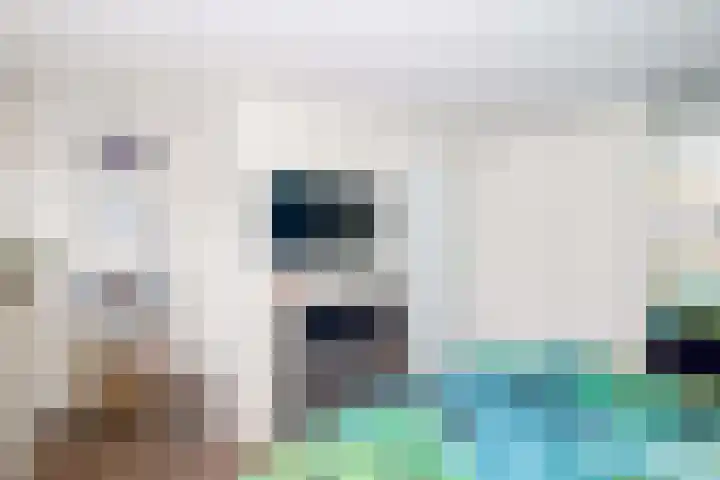 Botter 101 Bunschoten-Spakenburg thumbnail 19