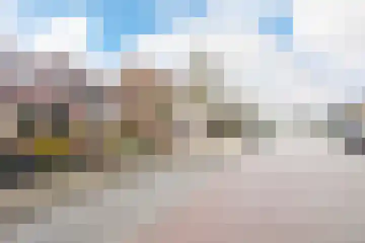 Botter 101 Bunschoten-Spakenburg thumbnail 37