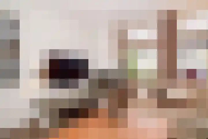 Botter 101 Bunschoten-Spakenburg thumbnail 5