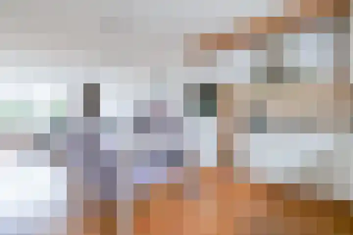 Botter 11 Zeewolde thumbnail 10