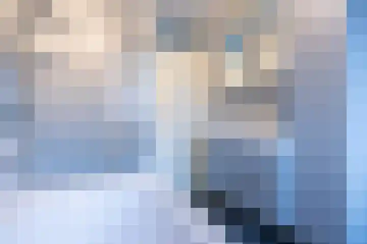 Botter 11 Zeewolde thumbnail 27