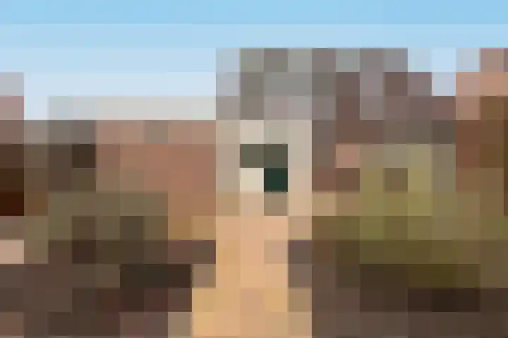 Botter 11 Zeewolde thumbnail 34