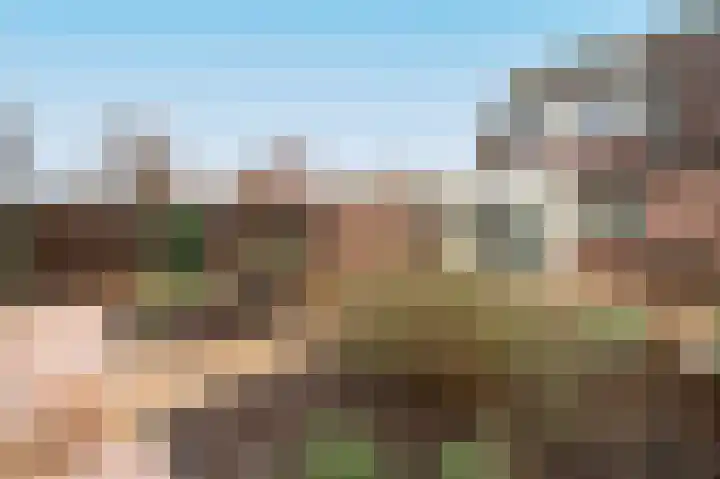 Botter 11 Zeewolde thumbnail 35