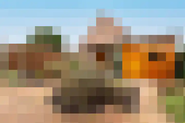 Botter 11 Zeewolde thumbnail 38